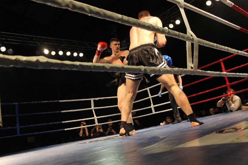 Głogowianie zdominowali Legion Fight Night [Zdjęcia Część 1]