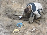 IPN odkrywa krwawą historię. Archeolodzy w byłej katowni UB odnaleźli szczątki ludzi [ZDJĘCIA]