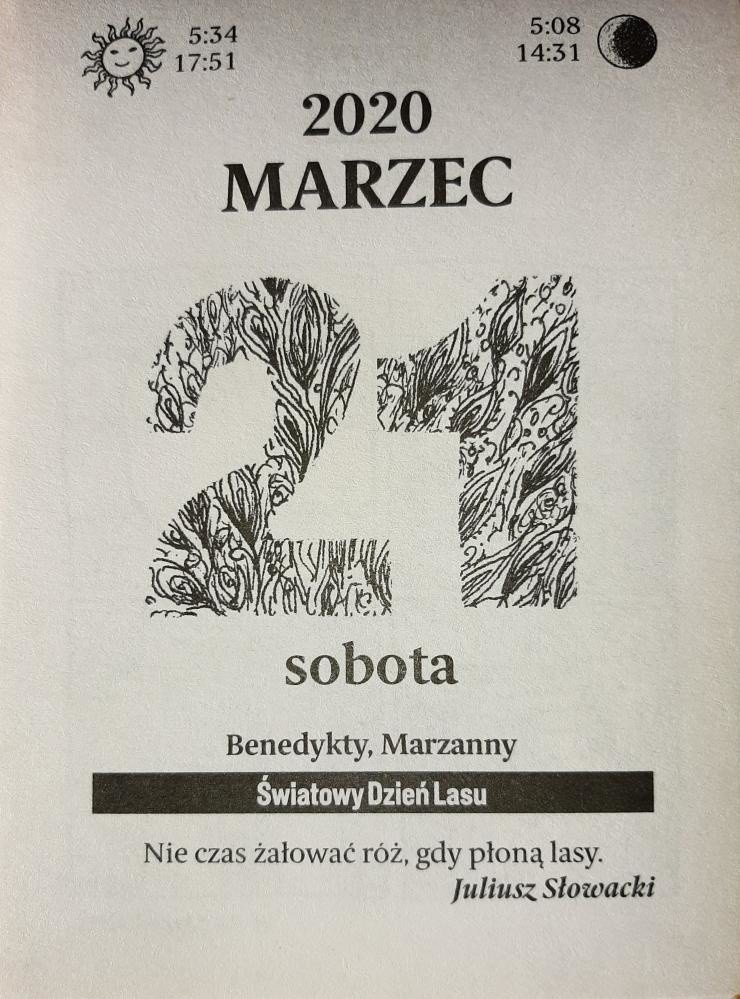 Leśnicy obchodzą dzisiaj Miedzynarodowy Dzień Lasów. Główne hasło brzmi -  „Lasy i różnorodność biologiczna. Zbyt cenne by je tracić”