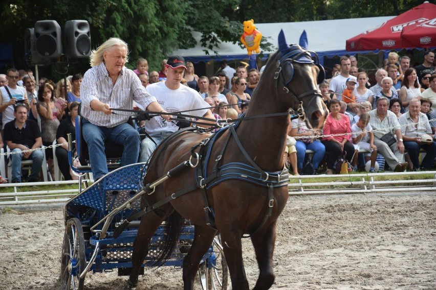 Gwiazdy w siodle! Tak artyści bawili się na Jeździeckich Mistrzostwach Gwiazd w Zakrzowie [ZDJĘCIA]