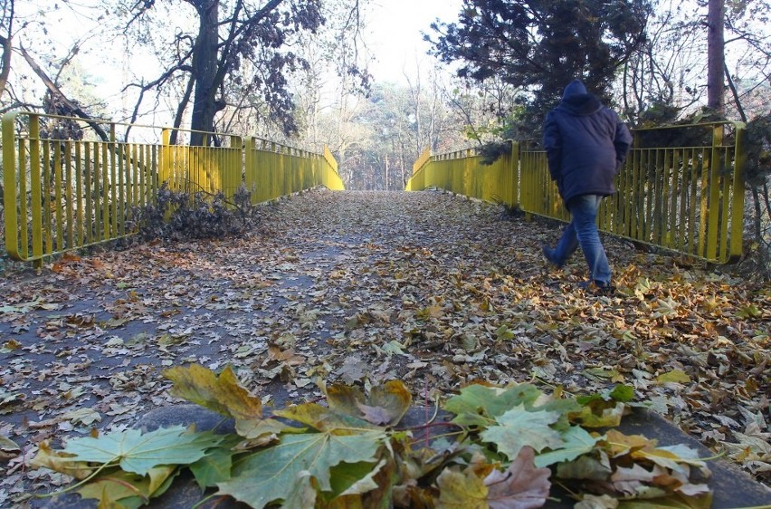 Golęcin: Zepchnął ciężarną dziewczynę z kładki. Sąd skazał...