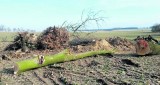 Rolnik zniszczył ruiny średniowiecznego grodziska, żeby… powiększyć pole