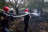 Puszcza Notecka: Pożar lasu pod Wronkami. Trwa akcja