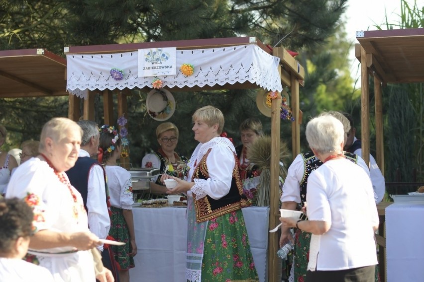 Dożynki w Niepołomicach - Podgrabiu. Zamek Królewski ze zbóż zachwycił mieszkańców [ZDJĘCIA] 