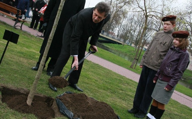 Inicjatorem zasadzenia Drzewka Pamięci był komisarz Marian Sierpatowski. Razem z nim wkopali je harcerze Krystian Pawlak i Oliwia Matuszewska oraz Jan Antonowicz.