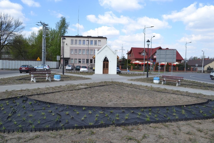 Sosnowiec: na rondzie w Niwce są już krzewy, będą jeszcze drzewa [ZDJĘCIA]