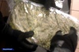 Marihuana w mandarynkach. Funkcjonariusze CBŚP w Białymstoku mieli nosa (zdjęcia, wideo)