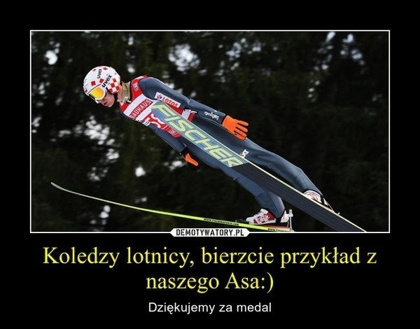 Kamil Stoch memy