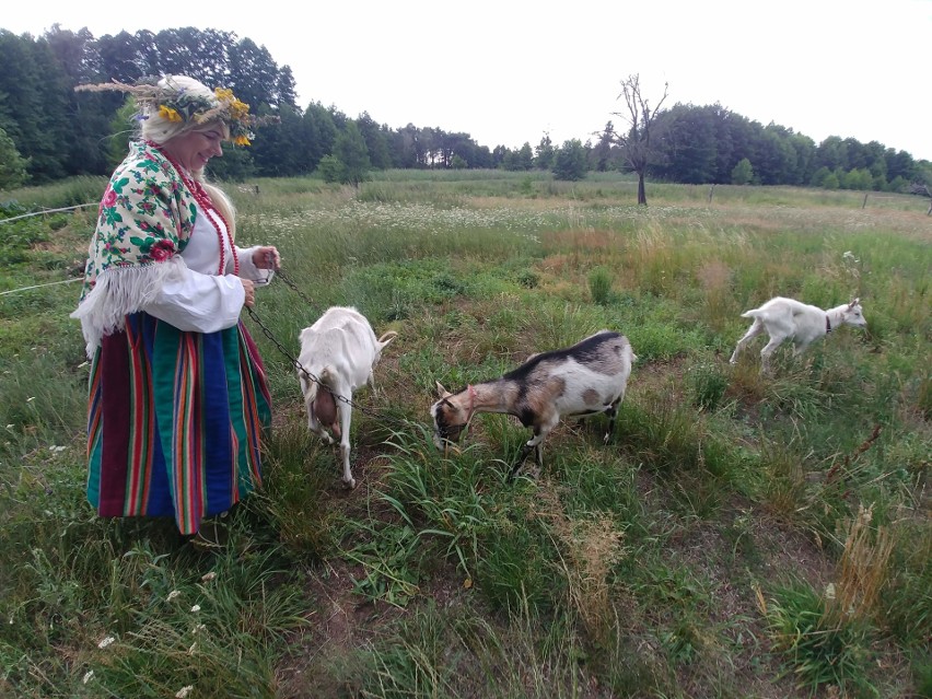 Artyści z Kabaretu Ciach, razem z Przemysławem Żejmo...