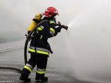 Bydgoszcz: auto stanęło w płomieniach przy Wyścigowej [wideo]