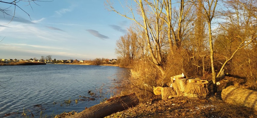 Opole. Rozpoczęto modernizację jazu na Odrze w Groszowicach....