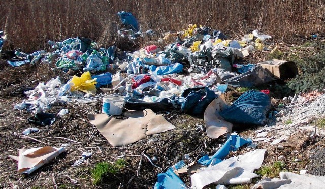 Jedno z dzikich wysypisk śmieci ujawnionych w tym miesiącu w Niepołomicach