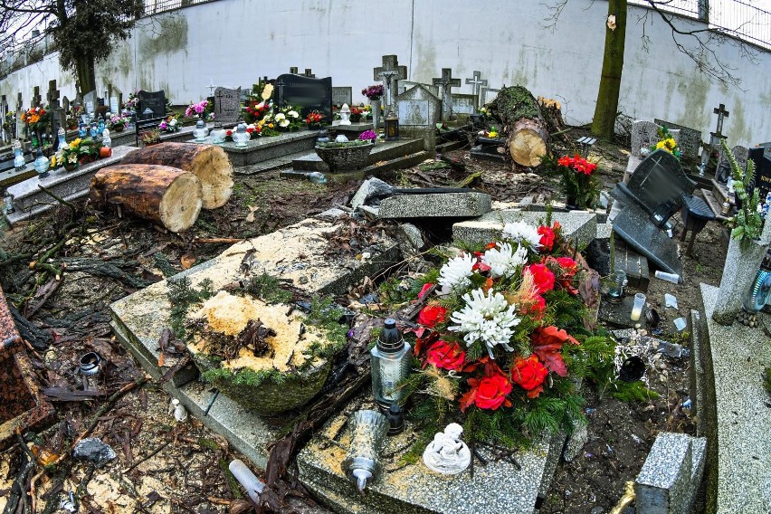 Wichura powaliła drzewo na cmentarzu w Bydgoszczy. Zniszczone nagrobki [zdjęcia]
