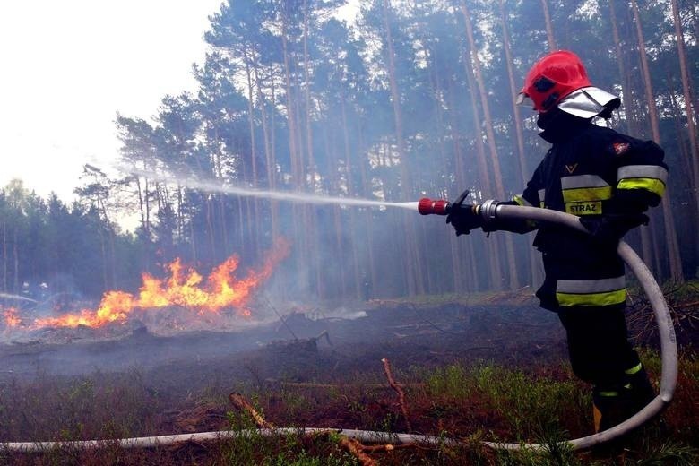 Potężny pożar w okolicach Paterka. Płonie kilka hektarów lasu. "Teren po nawałnicy, bardzo trudno dostępny"