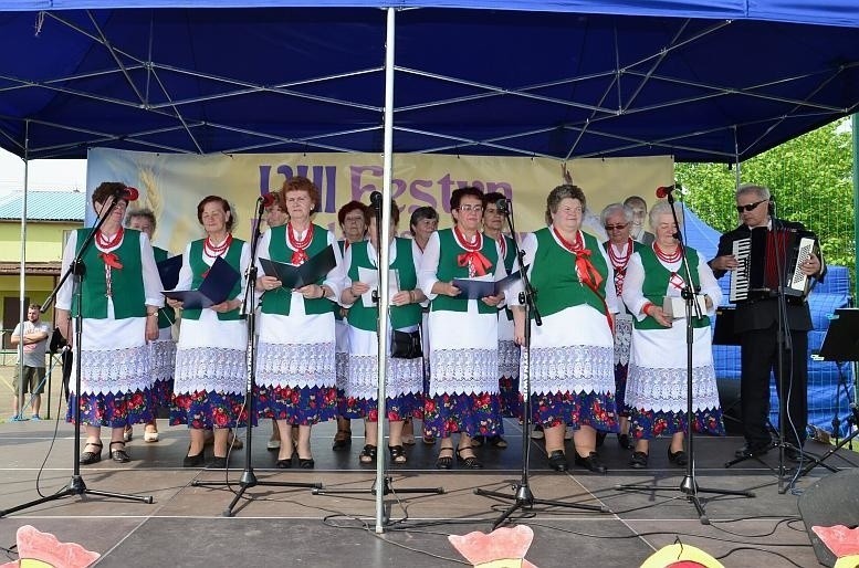 Festyn folklorystyczny w Dąbrowie Górniczej-Błędowie