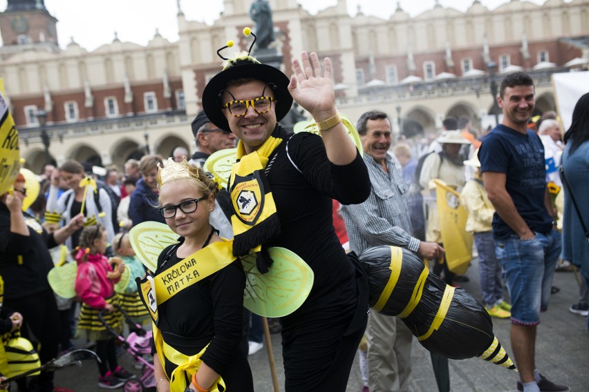Krakowskie Miodobranie: Barwna parada pszczół...