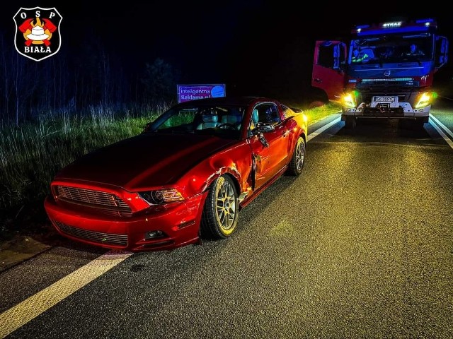 Nocna kolizja Mustanga z łosiem w pow. kłobuckim. Auto zostało zdewastowane
