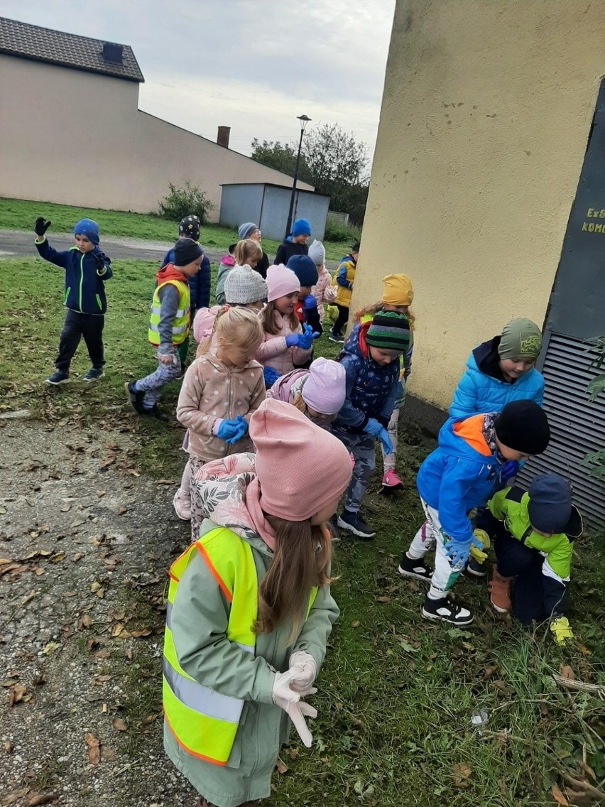 Przedszkolaki z Małogoszcza w Ogólnopolskiej akcji #SprzątamyDlaPolski. Dzieciaki wysprzątały osiedle podczas jesiennego spaceru