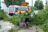 Nawałnica w Poznaniu: Powalone drzewo zablokowało ruch