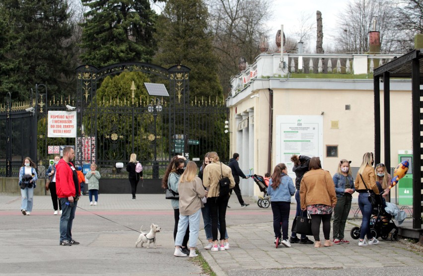 Tłumy w Parku Śląskim i Śląskim Ogrodzie Zoologicznym....