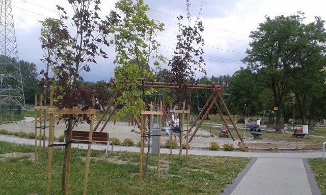 W ramach Budżetu Obywatelskiego zmian doczeka się m.in. ogród polisensoryczny w Sosnowcu przy ulicy Ostrogórskiej. Zobacz kolejne zdjęcia. Przesuń w prawo - wciśnij strzałkę lub przycisk NASTĘPNE