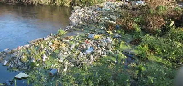 Ilość śmieci znajdujących się w Nidzie jest zastraszająca.