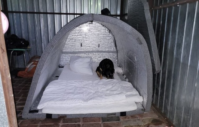 Pierwsze igloo dla osoby bezdomnej w Toruniu i kraju. Namiot termiczny zainstalowany został w pustostanie, w którym sypia bezdomny mężczyzna. Nie chce iść do noclegowni czy schroniska, bo musiałby rozstać się z psem.