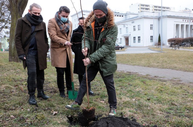 Dziś (18 marca) w grudziądzkim teatrze odbył się koncert projektu "Organek w nowym świecie". Przed występem Tomasz Organek z zespołem posadził na skwerze przed teatrem drzewo: lipę drobnolistną. Drzewu nadano imię Lucjana Kydryńskiego, legendarnego konferansjera urodzonego w Grudziądzu.