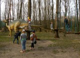 Park Dinozaurów Zaurolandia w Rogowie zniszczony. Po nawałnicy bardzo potrzebna pomoc! 