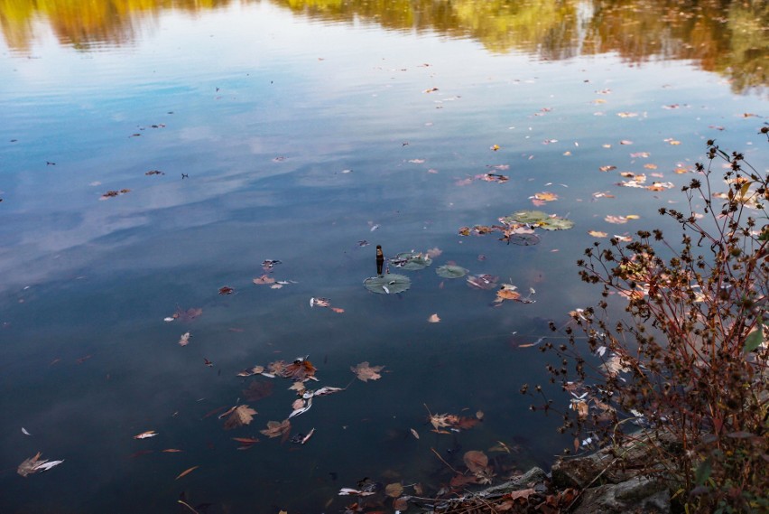 Kraków. Budują plażę nad zalewem pełnym bakterii. Wyniki badań niepokoją