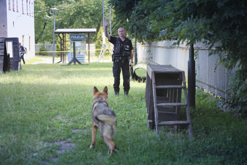 Najlepsze psy z małopolskiej policji w akcji [GALERIA]