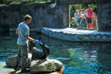 Opolskie zoo jest dłużej otwarte. Warto wybrać się tam szczególnie podczas karmienia zwierząt [ZDJĘCIA]