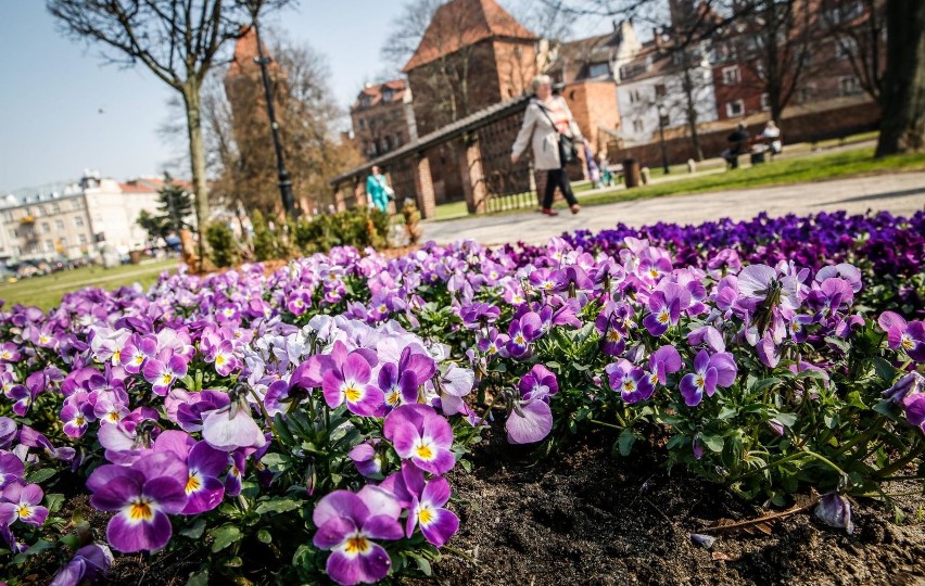 Jaka będzie pogoda w poniedziałek 22.04.2019 i w przyszłym...