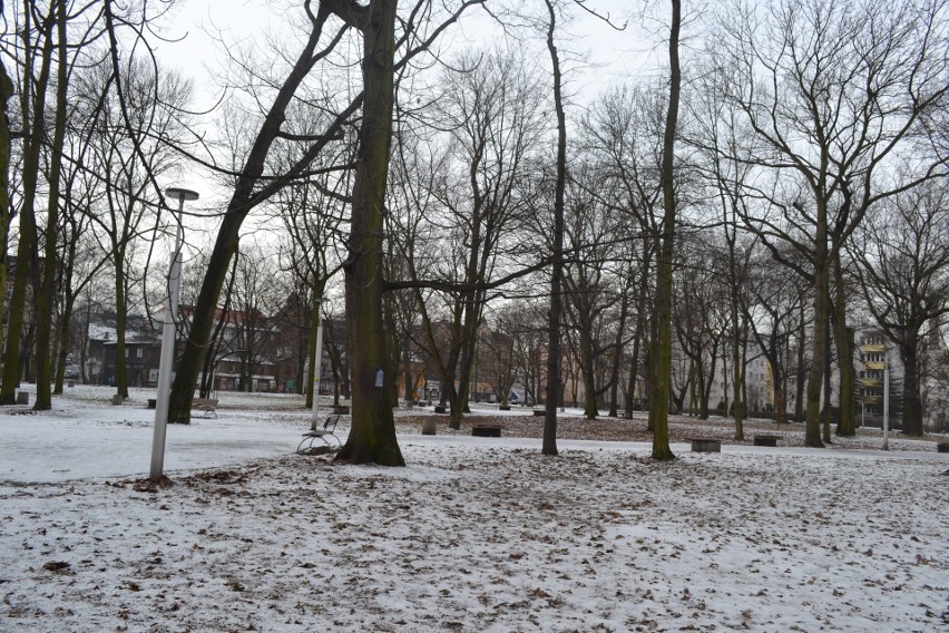 Park Zamkowy w Mysłowicach zimą. Miejsce, które powinno być...