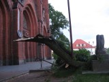 Pomnik przy katedrze zniszczony. Wichura złamała drzewo (wideo, zdjęcia)
