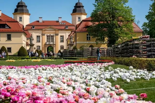 Dolnośląski zamek utonął w kwiatach z różnych krajów Europy