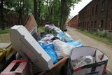 Kolejna rewolucja śmieciowa w Łodzi. Za śmieci zapłacimy razem z wodą. Nowy sposób naliczania opłaty za odbiór śmieci