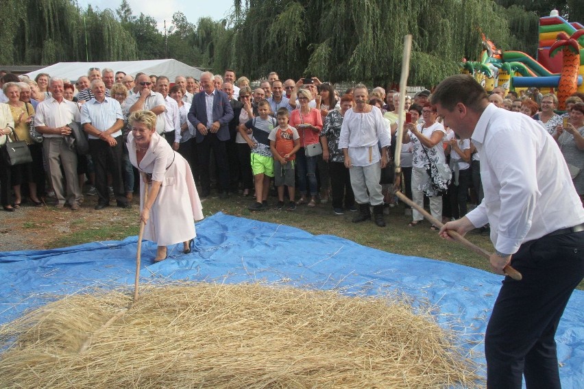 Pani wójt pokazała, że młócić cepem można nawet w szpilkach (ZDJĘCIA)  