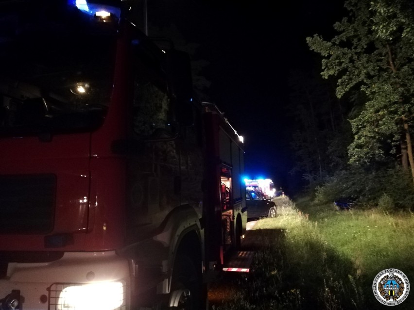 Wypadek na DW 645. Opel zderzył się z łosiem (zdjęcia)