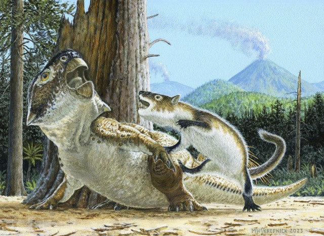 Niektóre ssaki mogły polować na dinozaury - wynika z najnowszych badań
