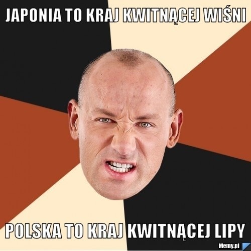 Mecz Polska - Japonia. Memy, które powstają na nasze starcie...