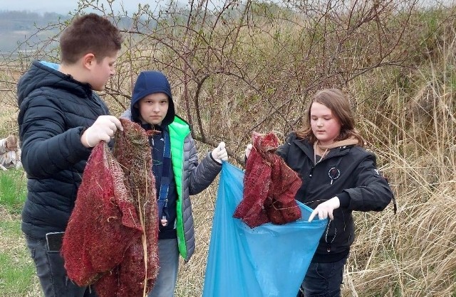 Uczniowie ze szkoły w Skalbmierzu ruszyli w miejsca, w których znajduje się mnóstwo śmieci. Uczestnicy sprzątania zostali zaopatrzeni w rękawice ochronne, worki, do których zbierali wszystko, co znajdowało się przy drogach.