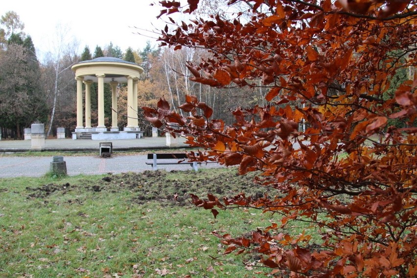 Tak wygląda park Zielona w jesiennych barwach