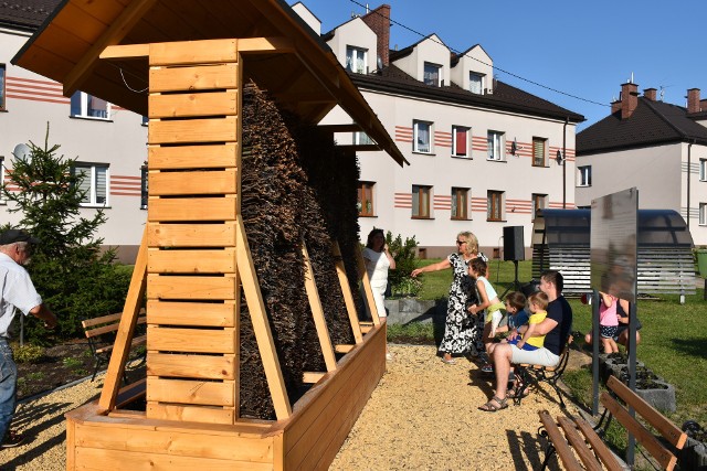 Pierwsza tężnia solankowa w Ogrodzieńcu jest już otwarta.