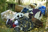 Czytelnicy alarmują: Śmieci w samym centrum Zielonej Góry! Wstyd, że nie dbamy o porządek 