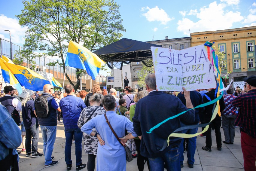 Protest na chorzowskim rynku w obronie Żabich Dołów.