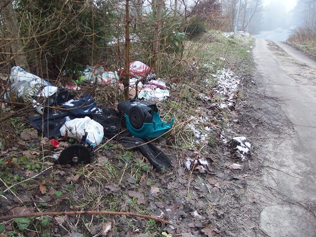 Czytelnik zastanawia się, jak służbom odpowiedzialnym za porządek w mieście, może "umykać" taki bałagan  