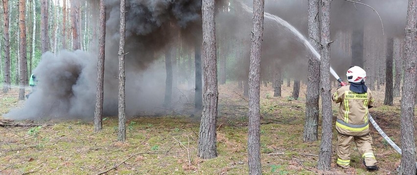 W gminie Wyśmierzyce strażacy z dwóch gmin powiatu białobrzeskiego ćwiczyli na wypadek pożaru lasu (ZDJĘCIA)