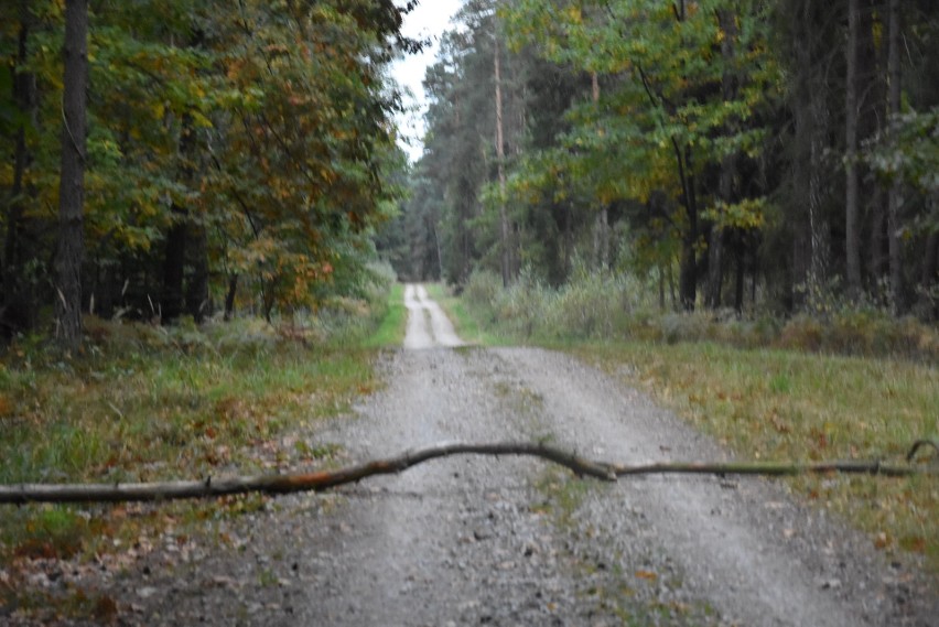 Mieszkańcy Palowic bronią swojego urokliwego zakątka