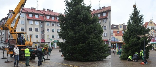 Plac Wolności w grudniu bez choinki to jak Wigilia bez karpia. 